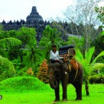 GAJAH-BOROBUDUR