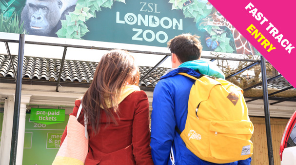 London Zoo