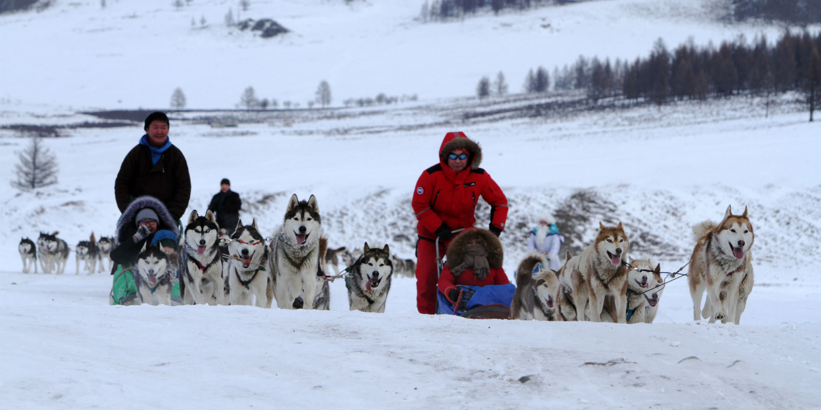 蒙古旅游公司带你冬季乘坐狗拉雪橇探险，让你感受不一样的蒙古冬季草原魅力